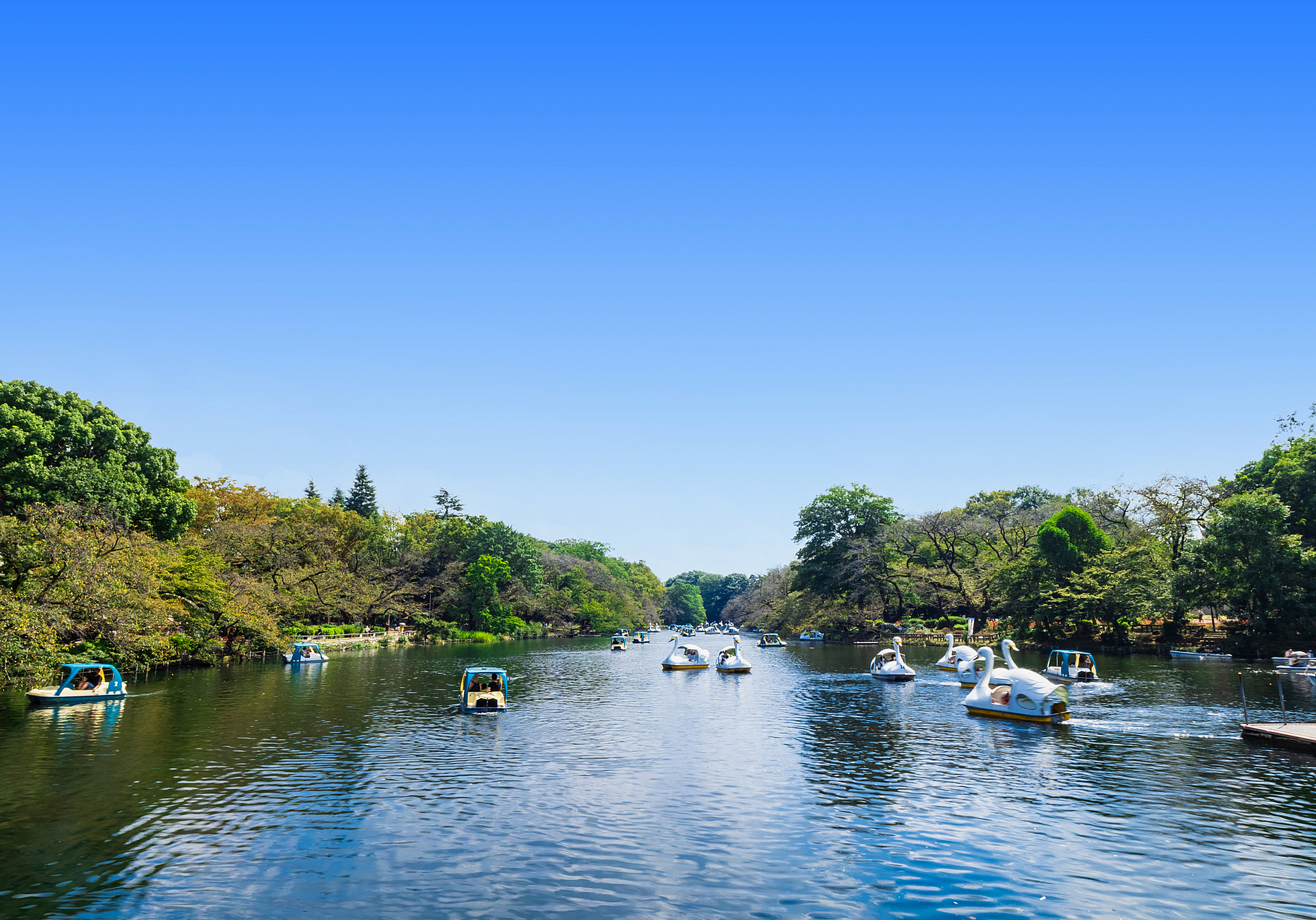 東京都_井の頭恩賜公園_遊び・体験_1