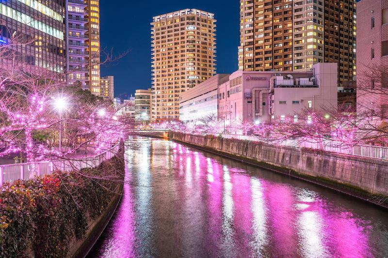東京_目黒川_遊び・体験_2