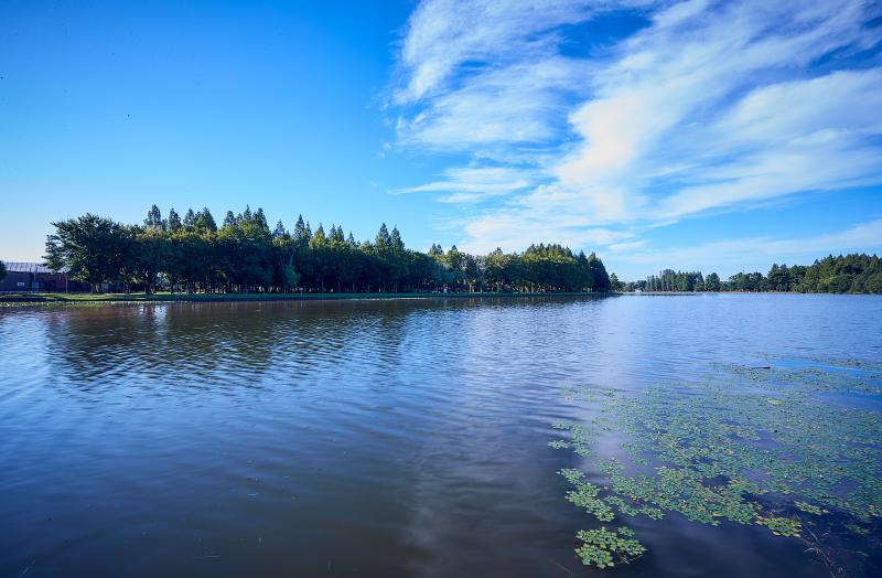 東京_都立水元公園_遊び・体験_1