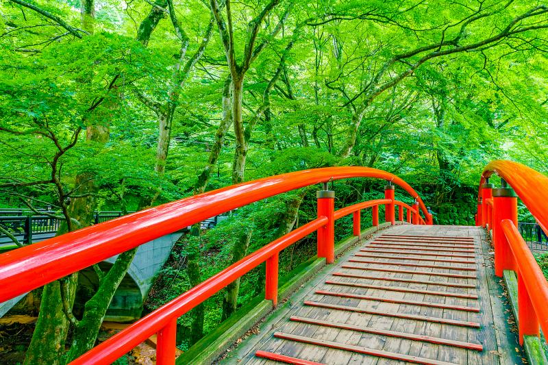 群馬_河鹿橋_遊び・体験_1