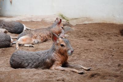 群馬_草津熱帯圏_遊び・体験_1