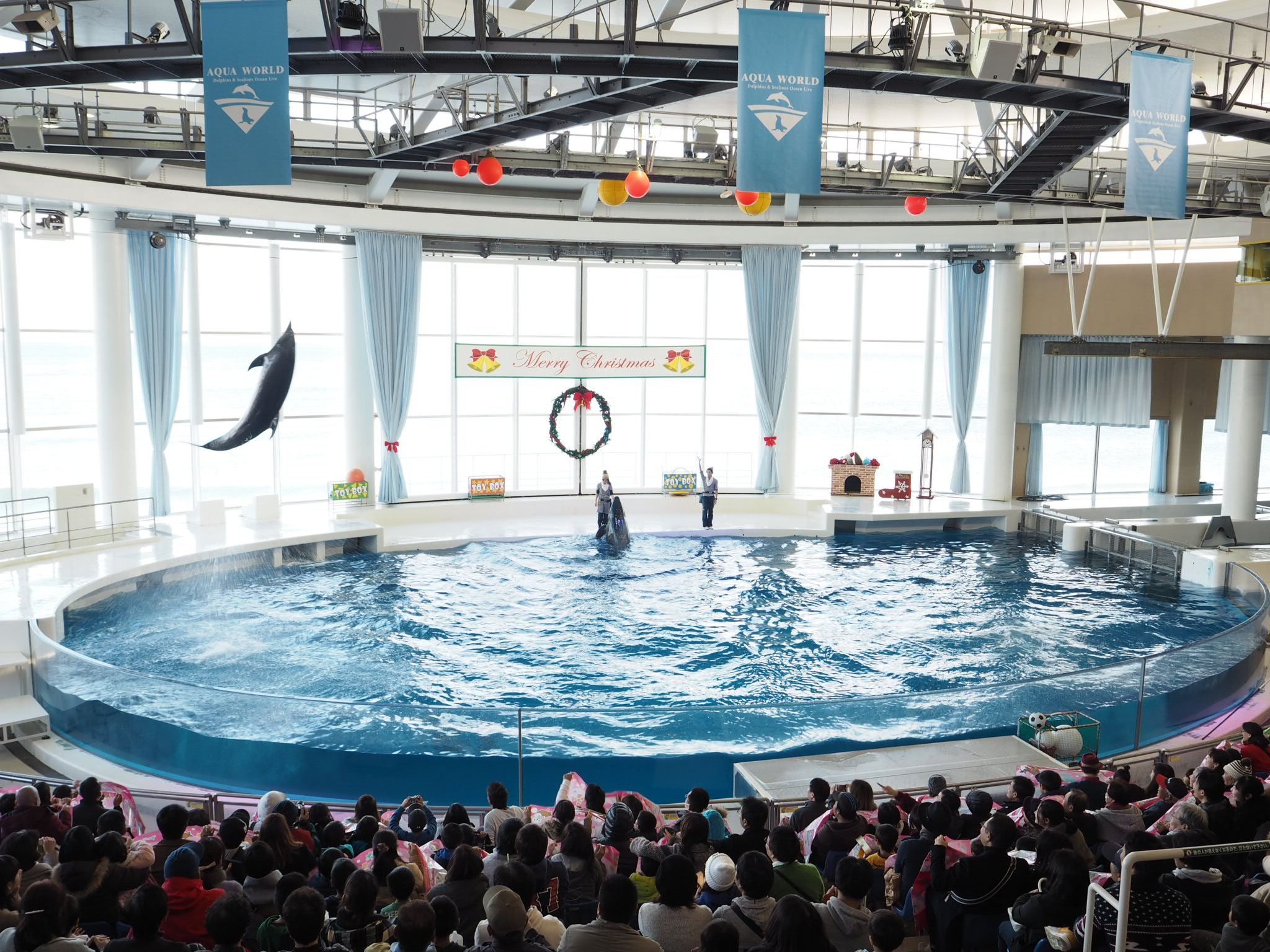 茨城_アクアワールド茨城県大洗水族館_遊び・体験_1