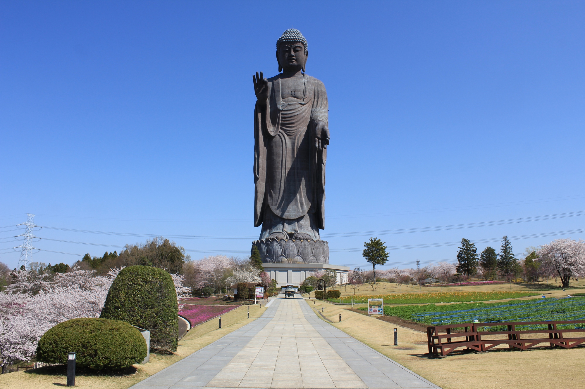 茨城_牛久大仏_遊び・体験_1