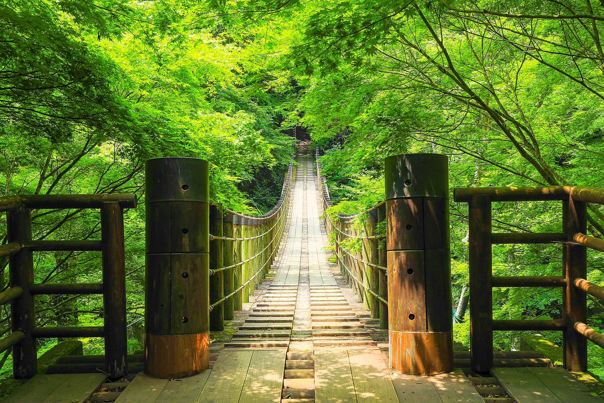 茨城_花貫渓谷_遊び・体験_1