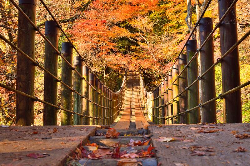 茨城_花貫渓谷_遊び・体験_2