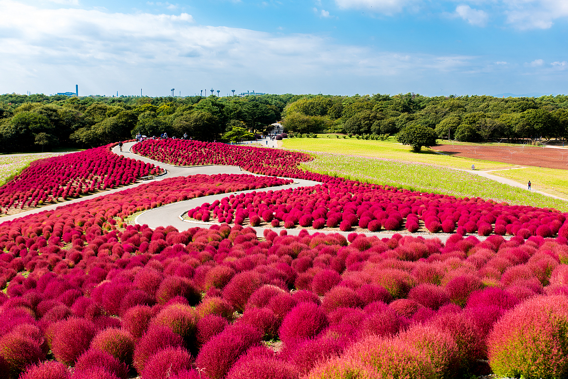 写真：茨城 旅行・ツアー