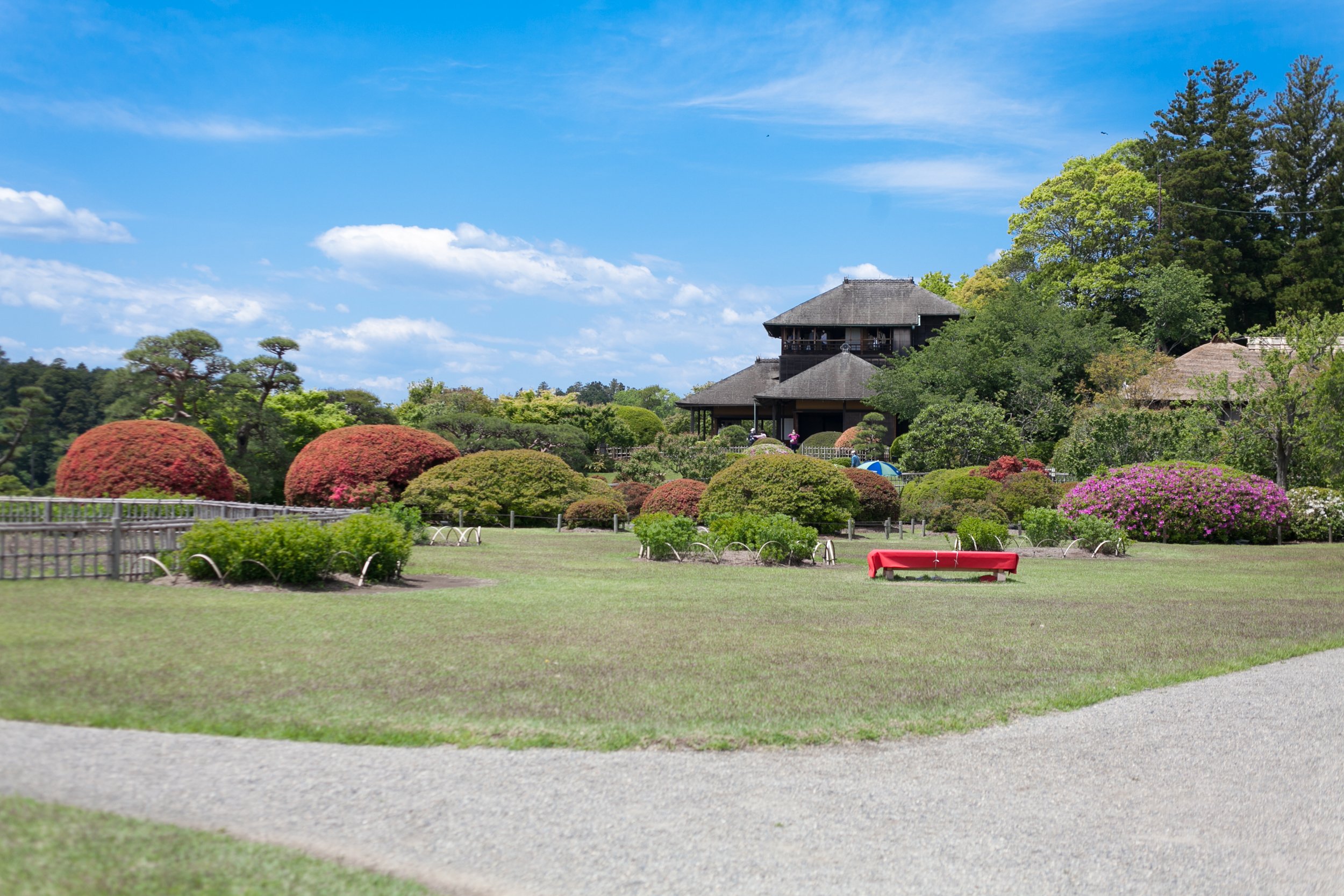 茨城_偕楽園_遊び・体験_1