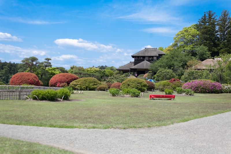 偕楽園 観光 アクセス 営業時間 基本情報ガイド 茨城県 水戸 トラベルコ