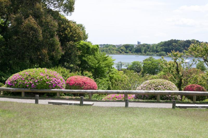 茨城_偕楽園_遊び・体験_2