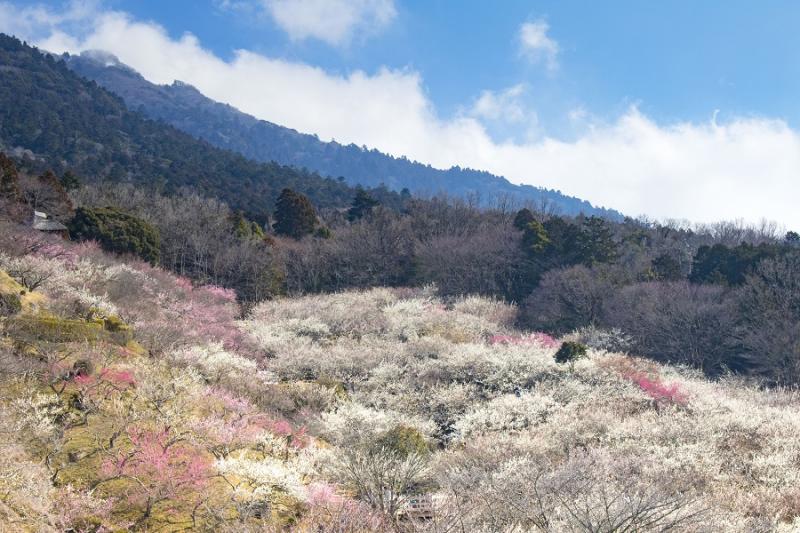 茨城_筑波山_遊び・体験_3