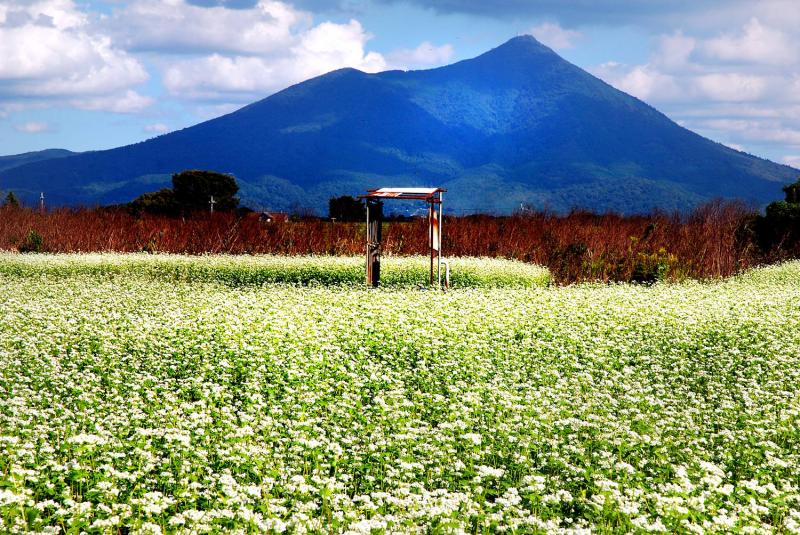 茨城_筑波山_遊び・体験_4