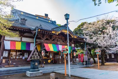 埼玉_蓮馨寺_遊び・体験_1