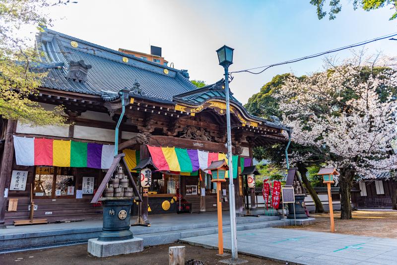 埼玉_蓮馨寺_遊び・体験_1