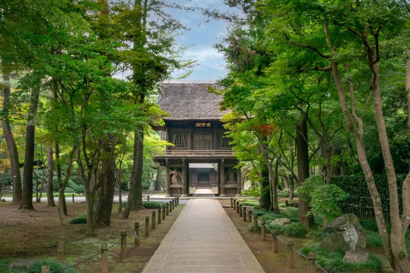 埼玉_平林寺_遊び・体験_1