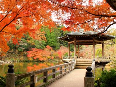 千葉_成田山公園_遊び・体験_1