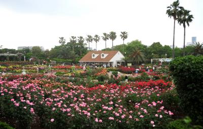 千葉_谷津バラ園_遊び・体験_1