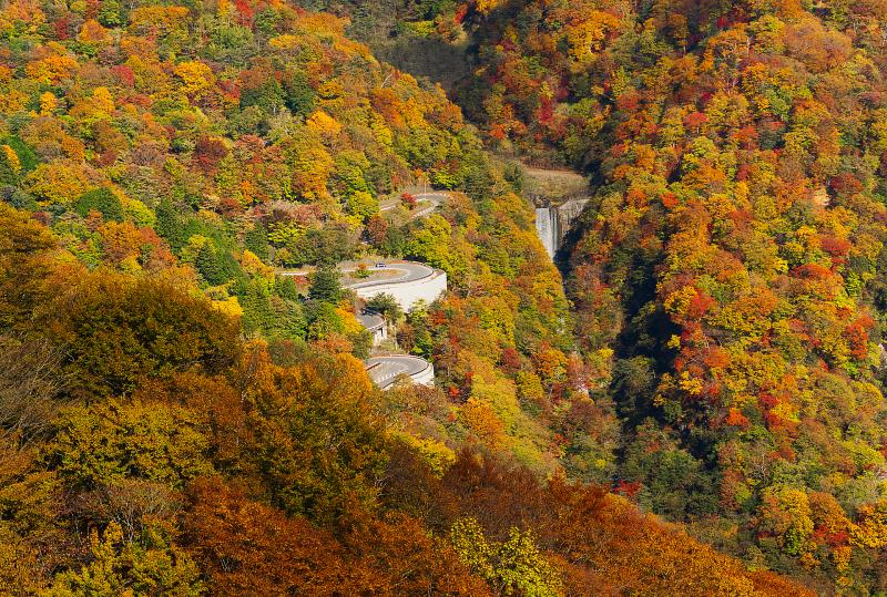 栃木_いろは坂_遊び・体験_1