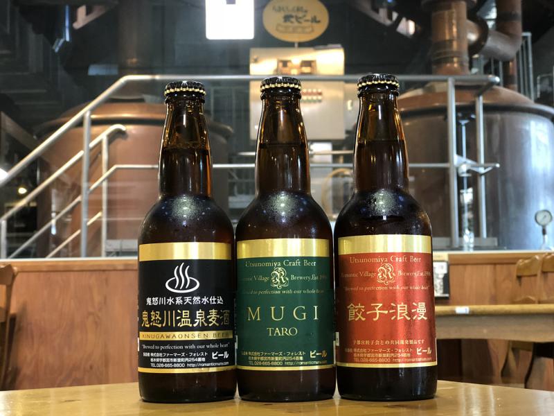 栃木_道の駅 うつのみやろまんちっく村_遊び・体験_2