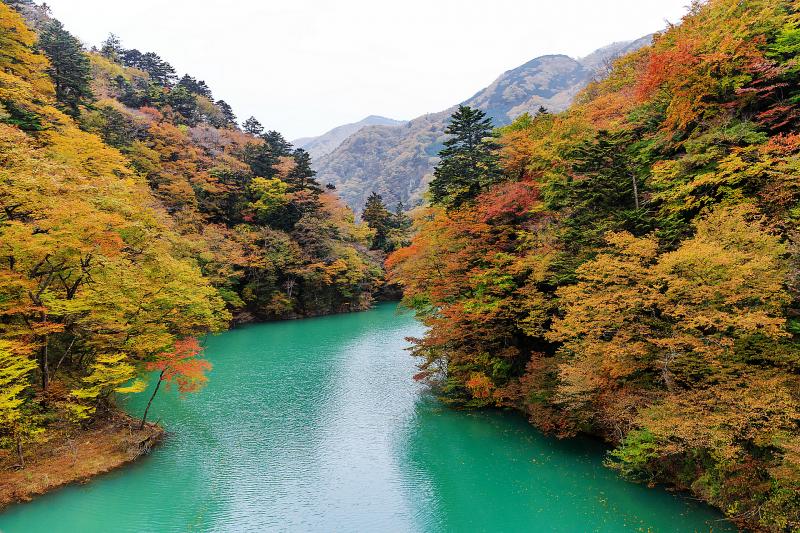 栃木_塩原渓谷_遊び・体験_2