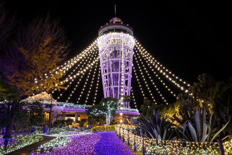 神奈川_江の島_遊び・体験_7