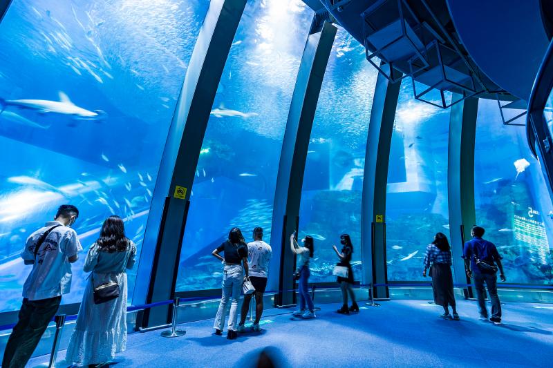 横浜 八景島シーパラダイス 観光 アクセス 営業時間 基本情報ガイド 神奈川県 八景島 金沢文庫 トラベルコ