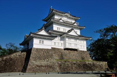 神奈川_小田原城_遊び・体験_1