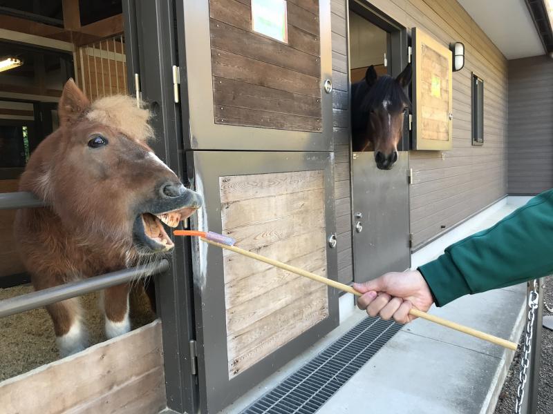 神奈川_よこはま動物園ズーラシア_遊び・体験_3