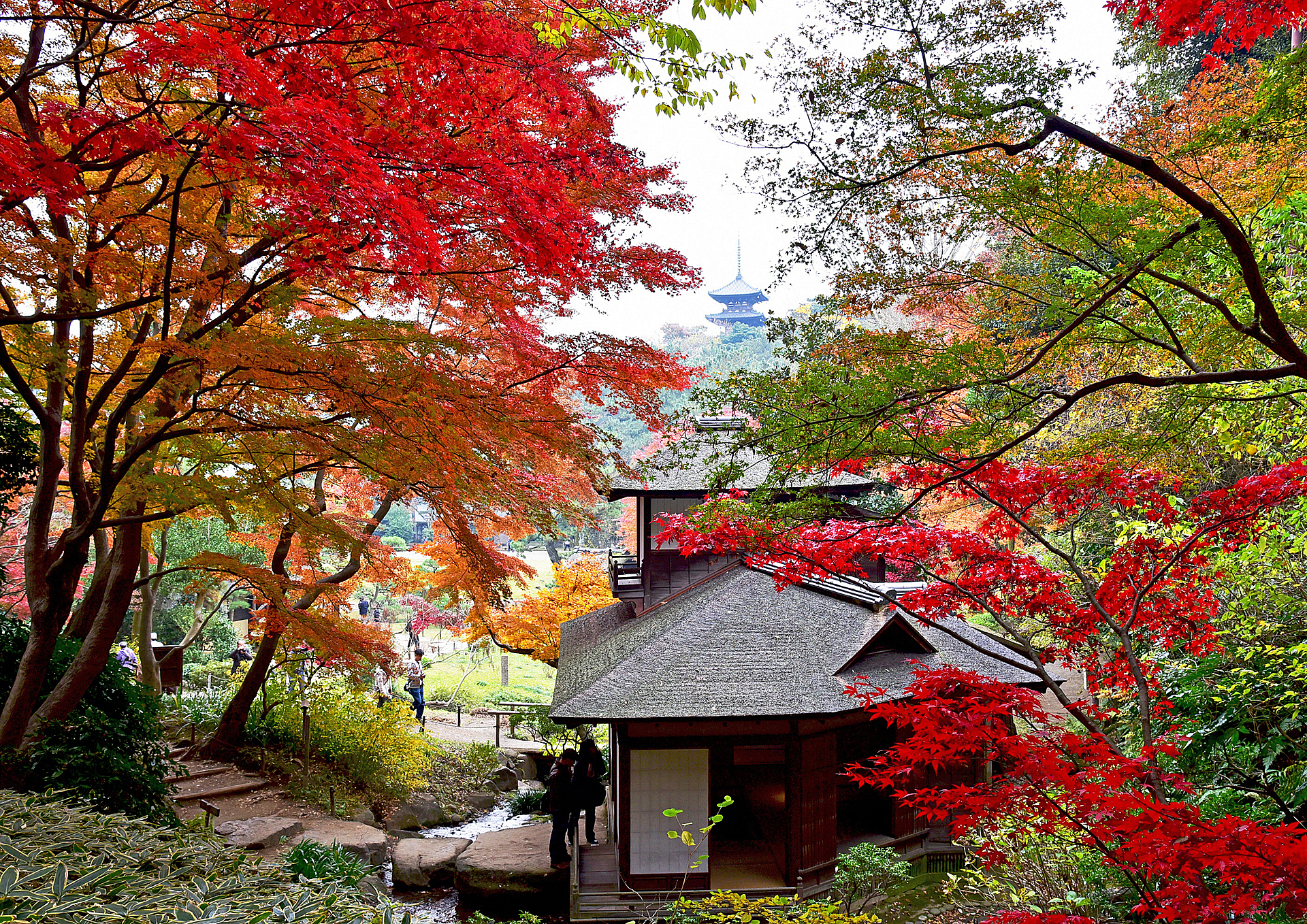 神奈川_三溪園_遊び・体験_1