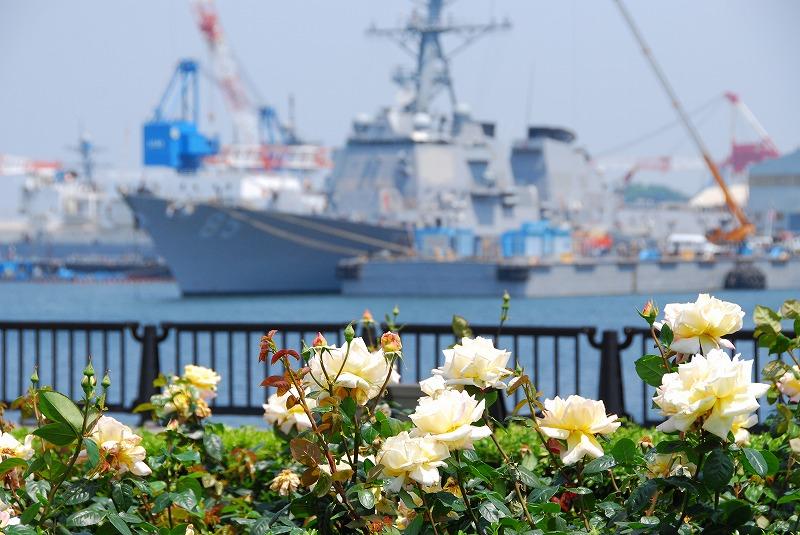 神奈川_ヴェルニー公園_遊び・体験_2