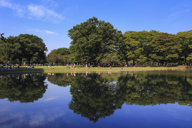 東京_代々木公園_遊び・体験_2