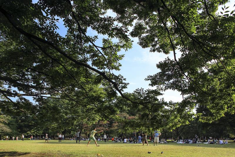 東京_代々木公園_遊び・体験_4