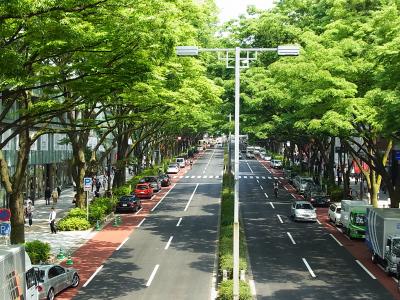 東京_表参道_遊び・体験_1