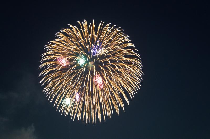 東京_国営昭和記念公園_遊び・体験_2