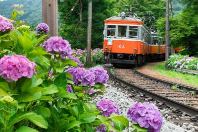 神奈川_箱根登山電車_遊び・体験_1