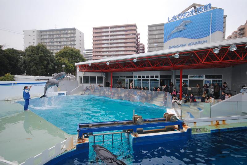 東京_しながわ水族館_遊び・体験_1