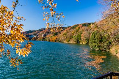 神奈川県_相模湖_遊び・体験_1