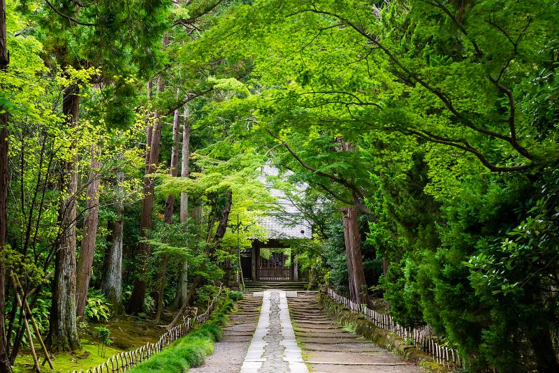 鎌倉・湘南・三浦_寿福寺_遊び・体験_1