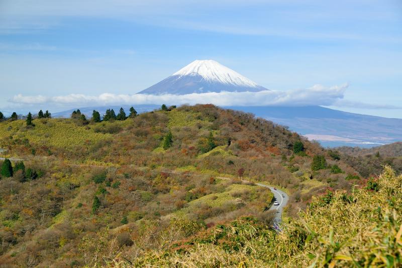 神奈川県_芦ノ湖スカイライン_遊び・体験_1