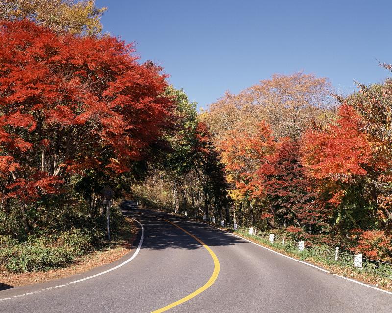 栃木_日塩もみじライン_遊び・体験_1