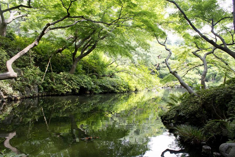 東京_八芳園_遊び・体験_1
