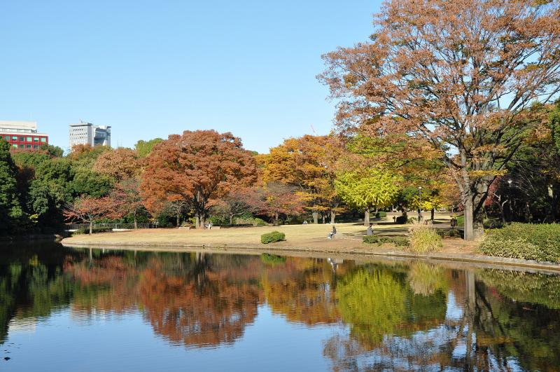 東京_北の丸公園_遊び・体験_1