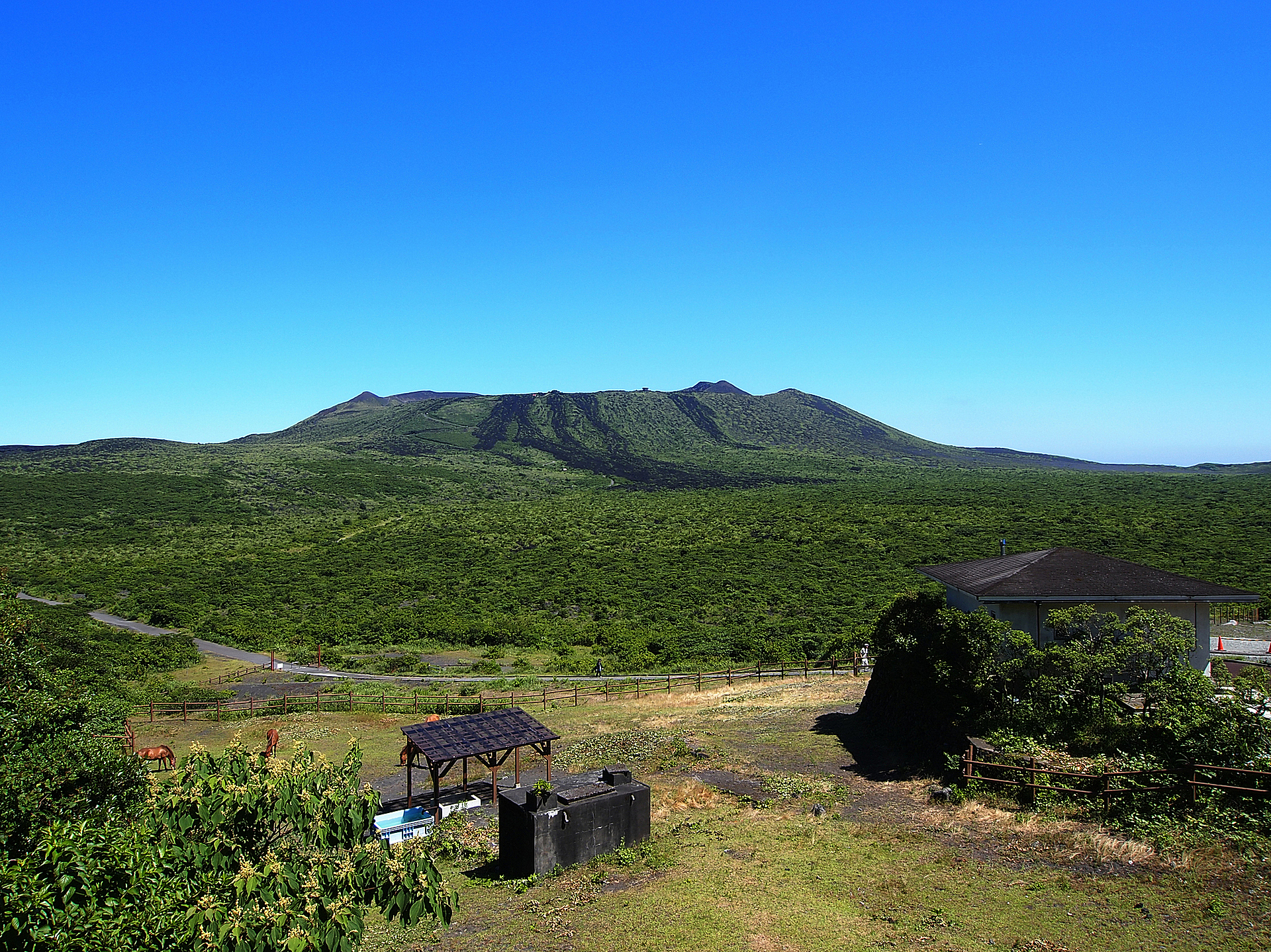 写真:伊豆大島 旅行・ツアー