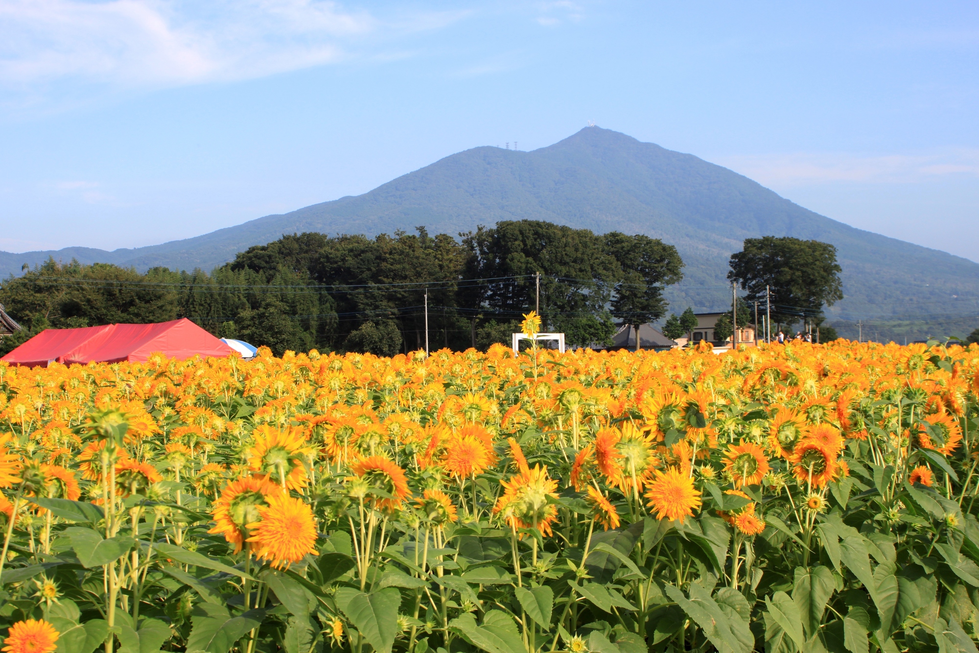 茨城_宮山ふるさとふれあい公園_遊び・体験_1