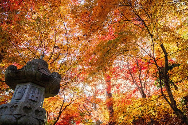 茨城_永源寺_遊び・体験_2