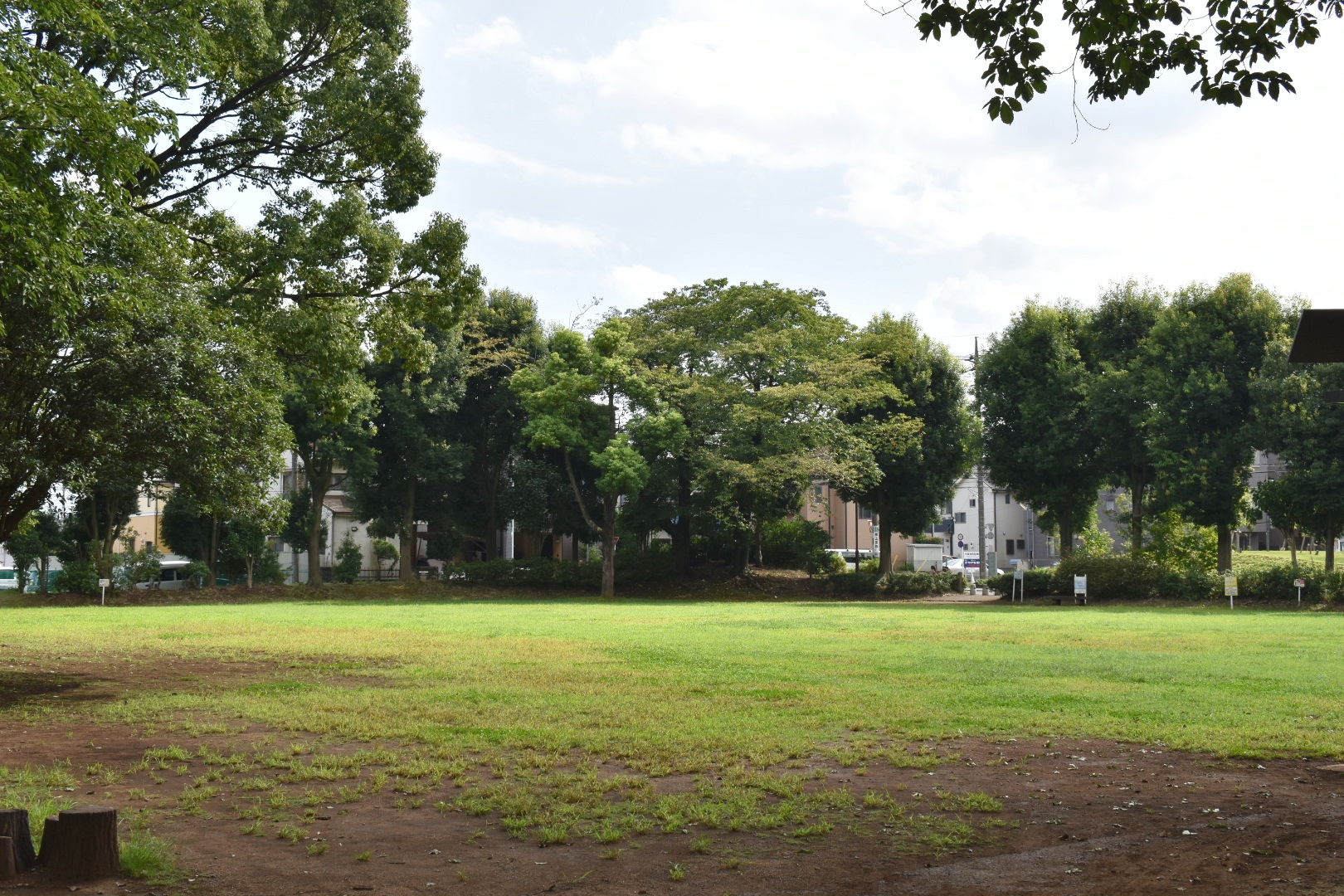 埼玉_東所沢公園_遊び・体験_1