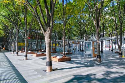 埼玉_けやきひろば_遊び・体験_1