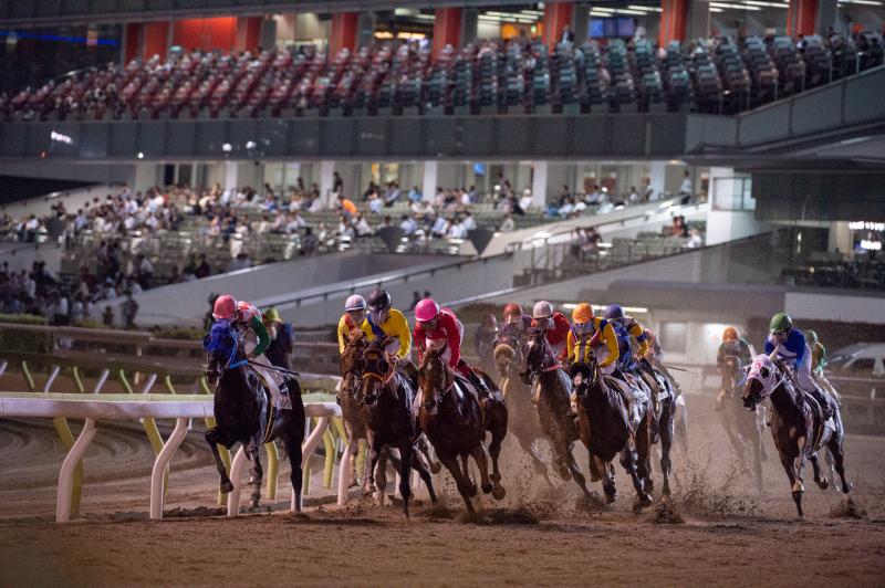 東京_大井競馬場（東京シティ競馬）_遊び・体験_3