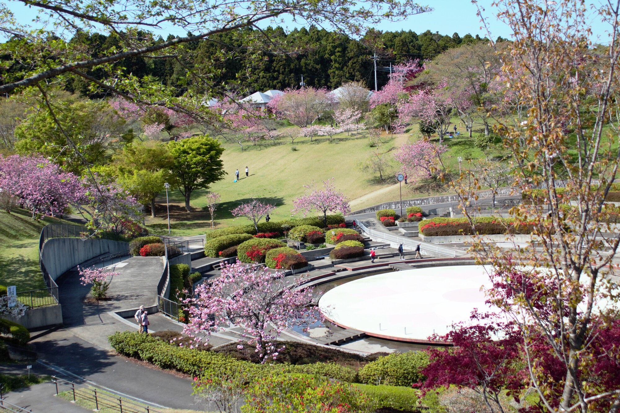 茨城県_静峰ふるさと公園_遊び・体験_1