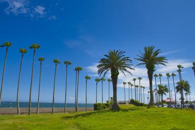神奈川県_リビエラ逗子マリーナ_遊び・体験_1