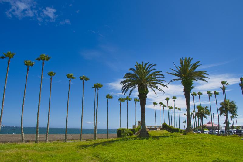 神奈川県_リビエラ逗子マリーナ_遊び・体験_1